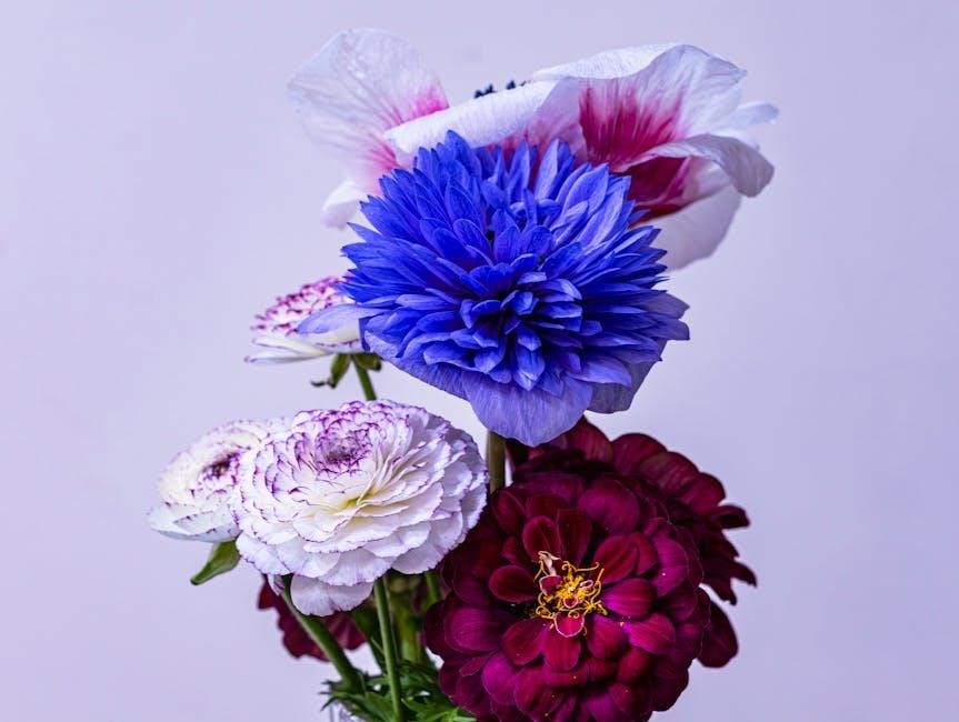 Florus Color Find Your Perfect Bloom: A Colorful Flower Guide!